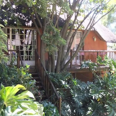 Treetops & Treats Guest House Pretoria Exterior photo