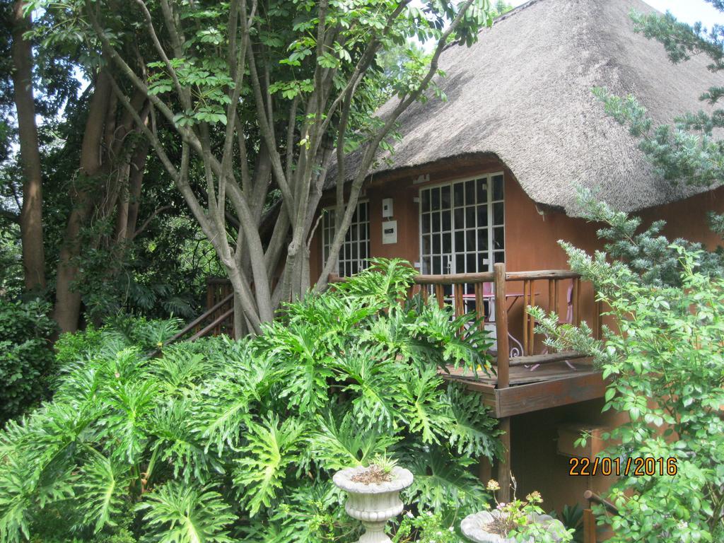 Treetops & Treats Guest House Pretoria Exterior photo